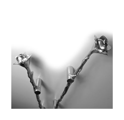 Türstoßgriff - ROSE - Philip Watts Design - Messing / Aluminium / Bronze
