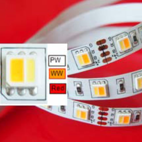 LED-Band - RCW  - TEKNI-LED