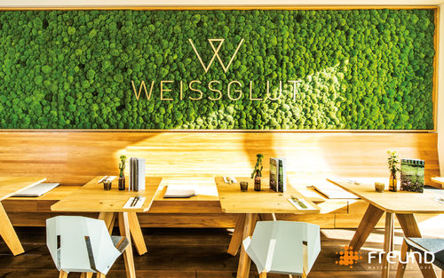 Stabilisierte Wandbegrünung - GREENHILL - POLSTER MOOS / CUSHION MOSS / MOUSSE BOULE - Freund GmbH - modulare Platte / für Büro / für Restaurants
