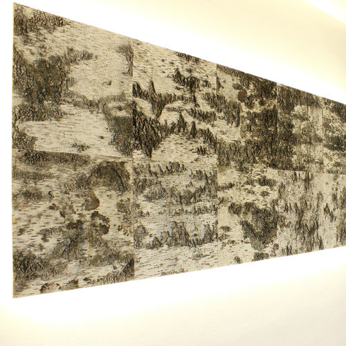 Wandmontierte Akustikplatte - BIRKENRINDE / birch / bouleau - Freund GmbH - Holz / rechteckig / texturiert