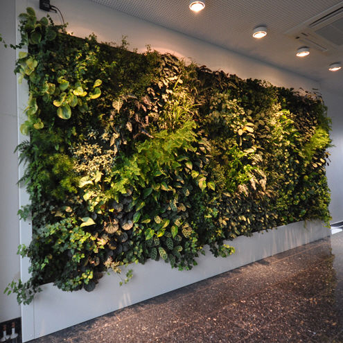 Pflanzenwand für den Innenraum - LIVEPANEL - PFLANZENWAND / VERTICAL GARDEN / JARDIN VERTICAL - Freund GmbH - bioklimatisch