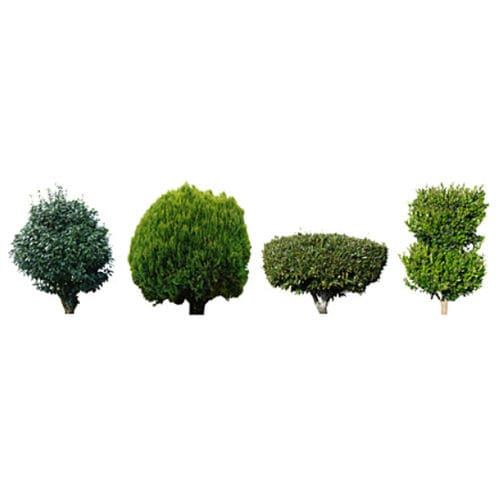 2D/3D Objektbibliothek - SHRUBS & TREES - DOSCH DESIGN