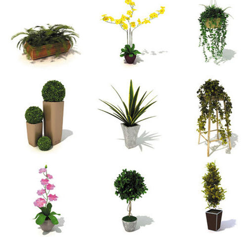 2D/3D Objektbibliothek - INDOOR PLANTS - DOSCH DESIGN