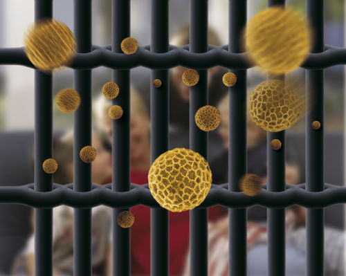 Fall-Insektenschutz - POLLTEC - LAKAL - für Fenster