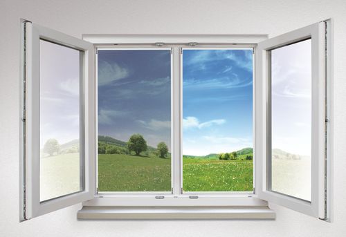 Fall-Insektenschutz - TRANSPATEC - LAKAL - für Fenster