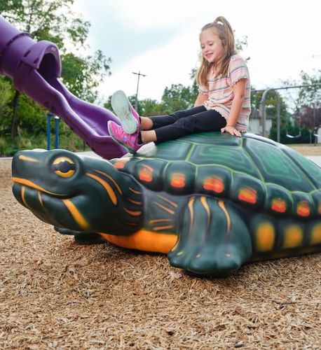 Kunststoff-Skulptur - TURTLE  - Soft Play LLC - maßgefertigt / bodenstehend / für Spielplätze