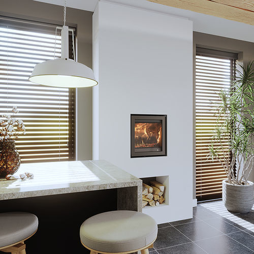 Holz-Kamineinsatz - DIK GEURTS - INSTYLE 550 - DRU - Stahl / modern