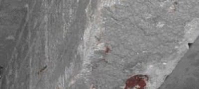 Reparaturmörtel - WEBER.REP STRUCTURE : MOTEX VM 212 - Weber Industries - für Beton