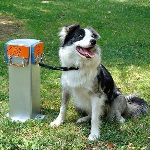 Pfosten für Hundepark - R9055 - Industrias Agapito - Sicherheit / stationär / galvanisiertem Stahl
