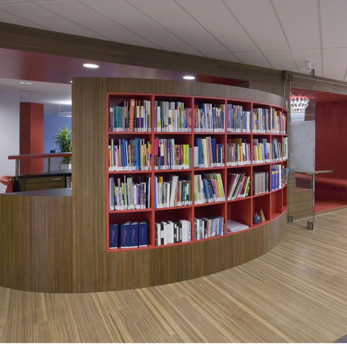 Sperrholzplatte für Bauanwendungen - FLEXIBLE  - Plexwood - für Möbel