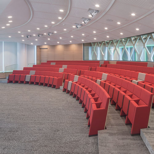 Moderner Auditoriumsessel - L213  - Lamm srl - Polyurethanschaum / Sperrholz / klappbar
