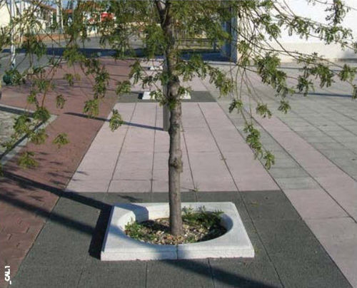 Quadratisches Baumgitter - SOLTAS : DAFOZ - A Amop Synergies - Beton