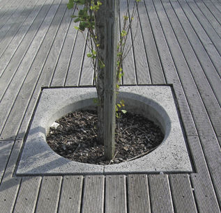 Quadratisches Baumgitter - SOLTAS : DAFOZ 2 - A Amop Synergies - Beton