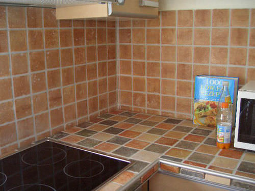 Terrakottafliesen - MILENIUM - Ceramica Elias - matt / für den Innenraum / für Küche