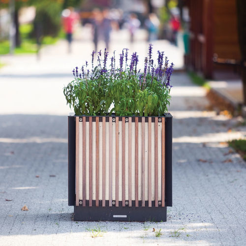 Kiefer-Pflanzkübel - KVĚTA - mmcité street furniture - Laubholz / Stahl / quadratisch