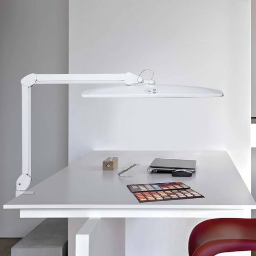 Bürolampe - MAULEXPLORE  - MAUL - Metall / Kunststoff / modern