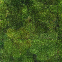 Stabilisierte Wandbegrünung - SURFACE LONG - meamea - modulare Platte / natürlich / Polster Moos