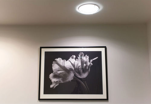 Einbaudownlight - PL - Orlight - Kompaktleuchtstoff / rund / für den Innenraum