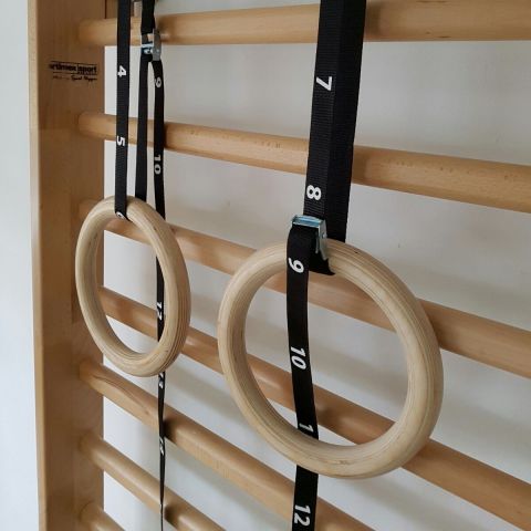 Gymnastik-Schaukelring - 1163-STRAP - Artimex Sport