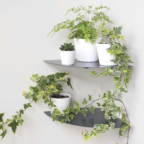 Wandmontiertes Regal - ALU-GOLO - TEEbooks - Eck / minimalistisches Design / lackiertes Aluminium