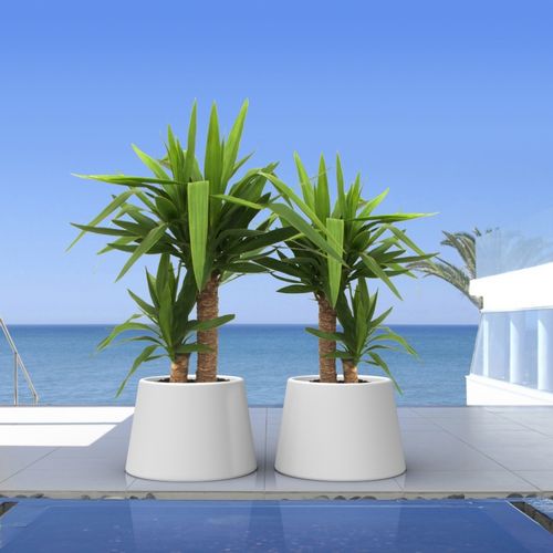 Polymer-Pflanzgefäß - SARDANA - Qui est Paul