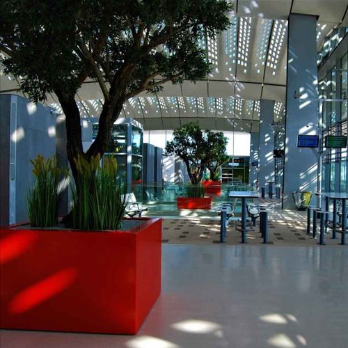 Pflanzkübel für Orangerie / lackiertes Aluminium - SAS-C148.148H100 - ATELIER SO GREEN - Aluminium / Blech / quadratisch