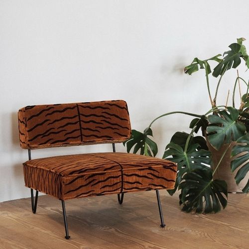 Möbelstoff - A TIGER IN THE ORANGERIE  - DEDAR MILANO - Tierhautmotiv / Baumwolle / Samt