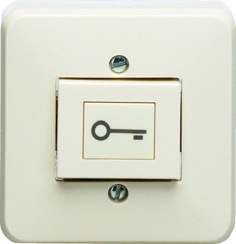 Schalter für Hausautomationssystem - Jung 333AT-24 - Eff Eff - Druck / Aufputz / modern