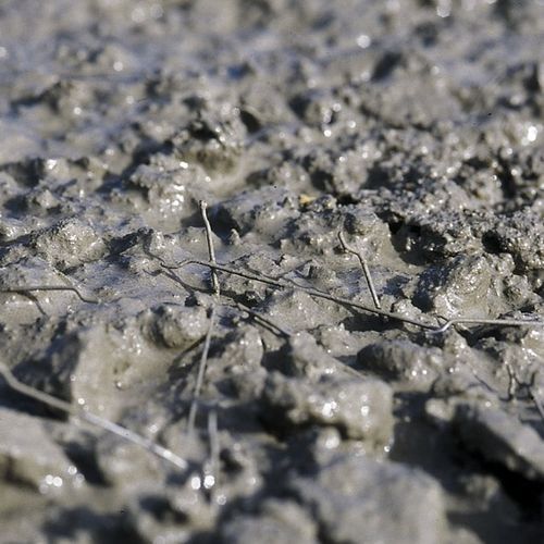 Selbstverdichtend-Beton - AGILIA® MI MÉTAL - Lafarge concrete - faserverstärkt / für Haus / Unterfliesenverlegung