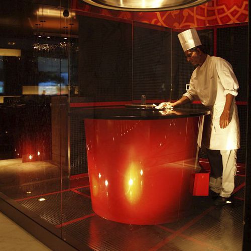 Profi-Ofen - TANDOOR - Beech Ovens - Elektro / Gas / Holzkohle