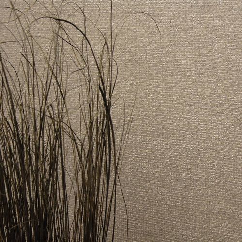 Innenwandverkleidung - Arianne-02E77 - Muraspec - Vinyl / texturiert / Vlies