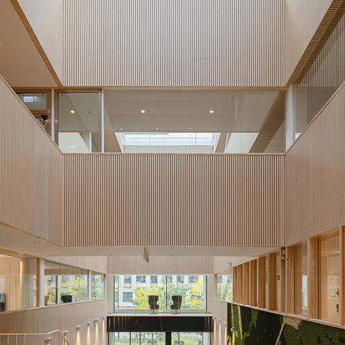 Akustikplatte für Decke - RIB-S - Gustafs Scandinavia AB - für Wand / Holzfurnier / Gips