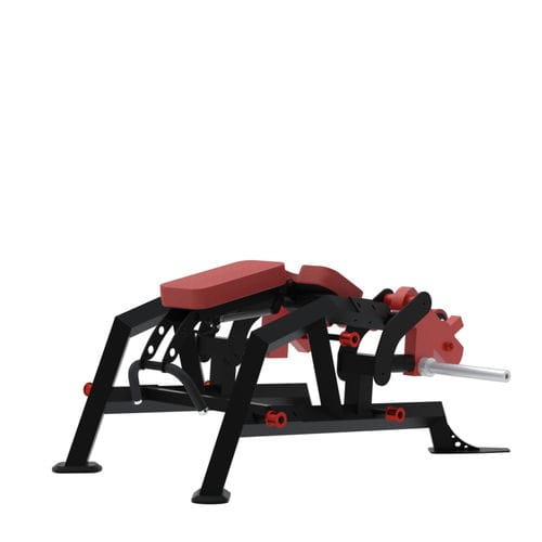 Bein-Curl-Fitnessgerät - BXT33 - Multi-form - für den Innenraum / für Gewerbegebrauch