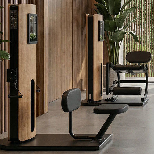 Dips-Fitnessgerät - STUDIOLINE - WATERROWER FRANCE - Bauchpresse / Rückenstreckung / Bein-Curl