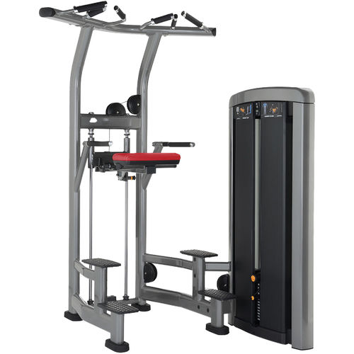 Dips-Fitnessgerät - SS-ADC - Life Fitness - für den Innenraum / für Fitnessstudio