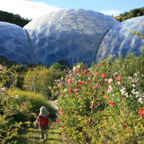Textilmembran / Texlon® ETFE - EDEN PROJECT - Vector Foiltec - für Fassaden / für Bedachungen / lichtdurchlässig