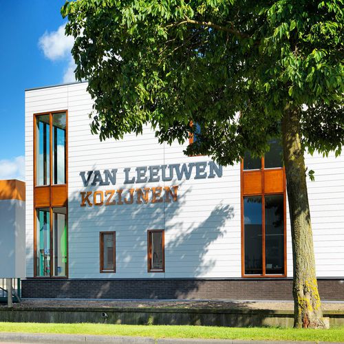 Holz-Fensterrahmen - OFFICE VAN LEEUWEN KOZIJNEN - Accsys Technologies - Dekorputz