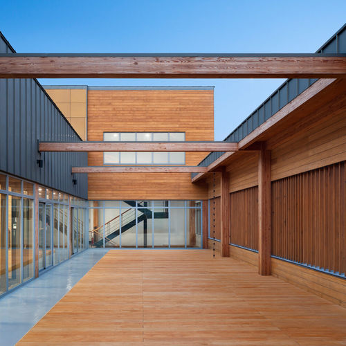 Holz-Terrassendiele - THE NATIONAL INSTITUTE OF FOREST SCIENCE - Accsys Technologies - Holzoptik / für öffentliche Einrichtungen / nachhaltig