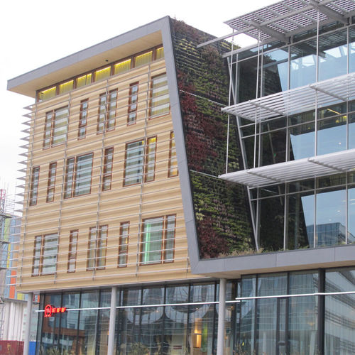 Holzfenster - BOSCH SIEMENS - Accsys Technologies - feststehend / Fall / mit Doppelverglasung