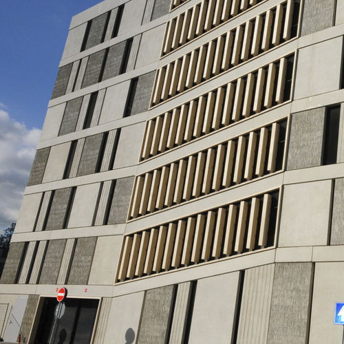 Paneel-Fassadenverkleidung - MULTISTOREY CAR PARK - Accsys Technologies - Holz / zum Einrasten / nachhaltig
