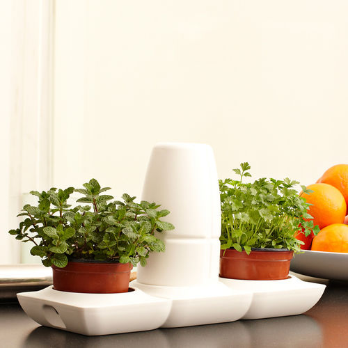 Kunststoff-Pflanzgefäß - MINIGARDEN BASIC S POTS - Minigarden (Quizcamp SA) - freistehend / rund / mit automatischer Bewässerung