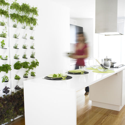 Vertikaler Garten / lebende Pflanzen - MINIGARDEN KITCHEN GARDEN - Minigarden (Quizcamp SA) - modulare Platte / für den Innenraum / für Außenbereich