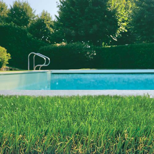 Synthetik-Rasen - SCOTTISH EXTRA - Tenax UK Ltd  - Rollen / für Garten / zur Drainage