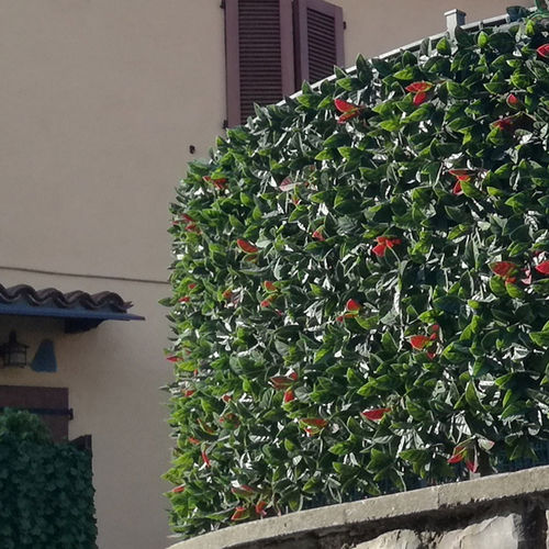 Gitter-Sichtschutz - DIVY PLUS PHOTINIA  - Tenax UK Ltd  - Polyethylen / 3D