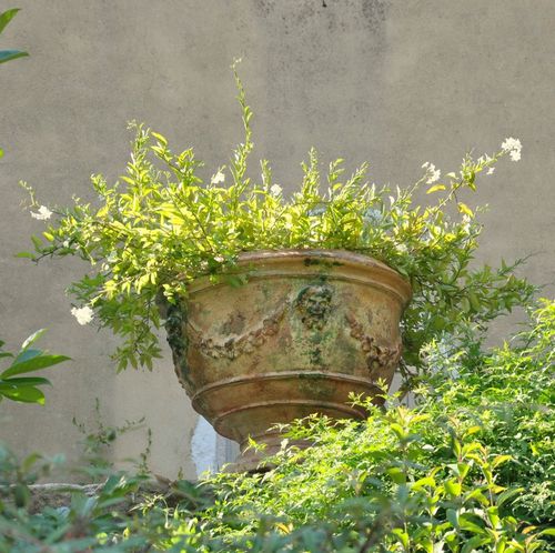 Ton-Pflanzkübel - ANDUZE - POTERIE LE CHÊNE VERT - rund / handgefertigt / modern