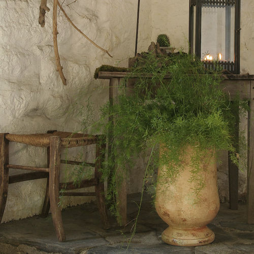 Ton-Tonkrug - OLIVE - POTERIE LE CHÊNE VERT