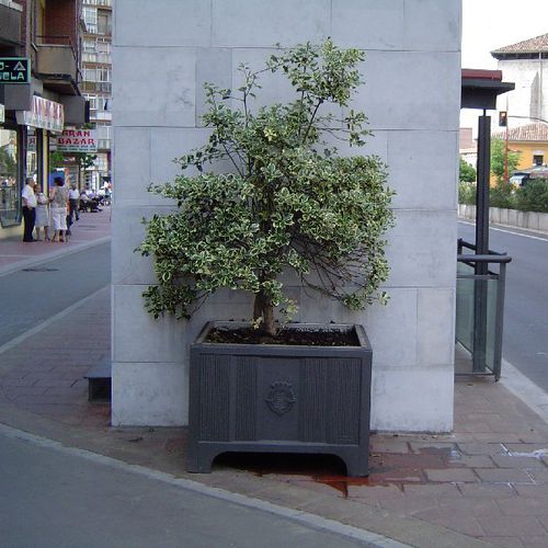 Edelstahl-Pflanzkübel - OLID - Urbes 21 - Gusseisen / Glasfaser / rechteckig