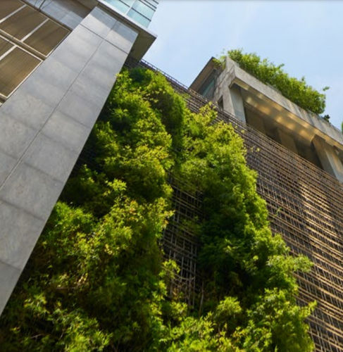 Pflanzenwand / lebende Pflanzen - FOREST - GREEN WALL - POHL Metal Systems GmbH - stabilisiert / modulare Platte / natürlich
