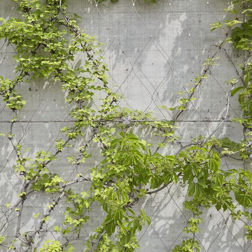 Metall-Geflecht / Edelstahl - GREENING - JAKOB FRANCE  - für Fassaden / mit Rautenmaschen