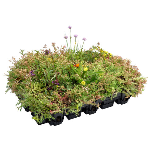 Bauset für Gründächer / Polypropylen - HYDROPACK® - LE PRIEURE - extensiv